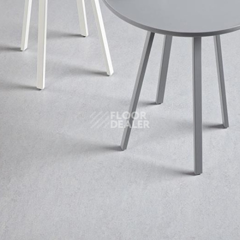 Forbo Marmoleum Decibel on Order 388335 moonstone фото 2 | FLOORDEALER
